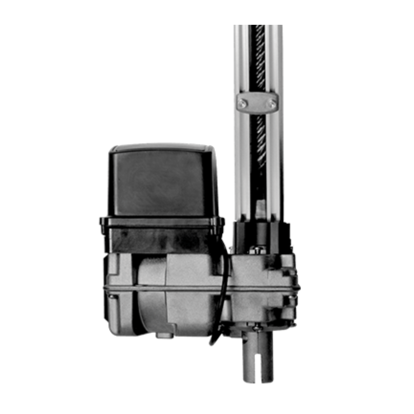 CJ BV HOME ANA (AGILITY POP) 1,40MT (II) 127V